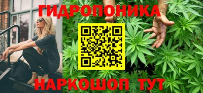 наркотики Камышлов