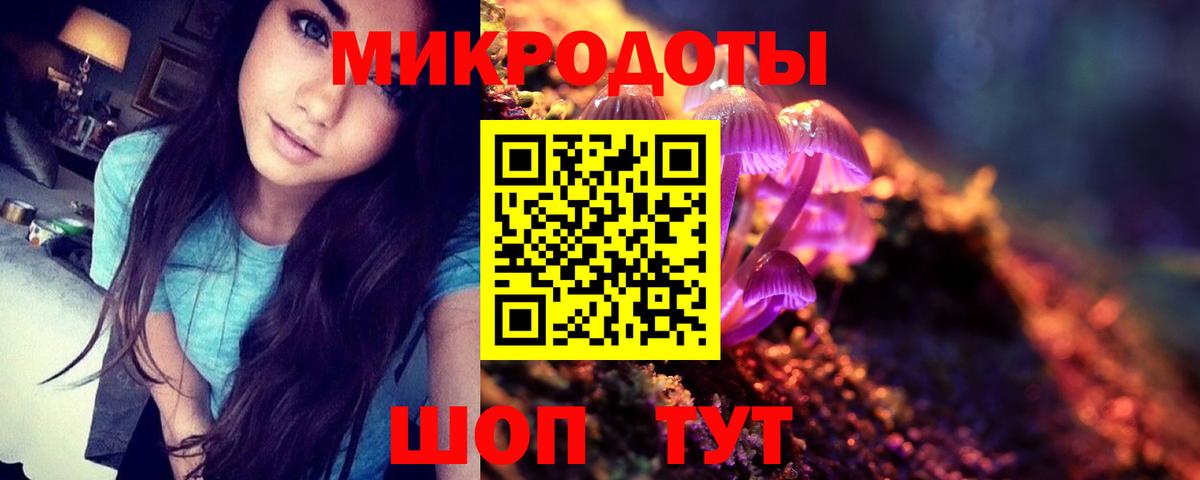 Галлюциногенные грибы прущие грибы Кстово