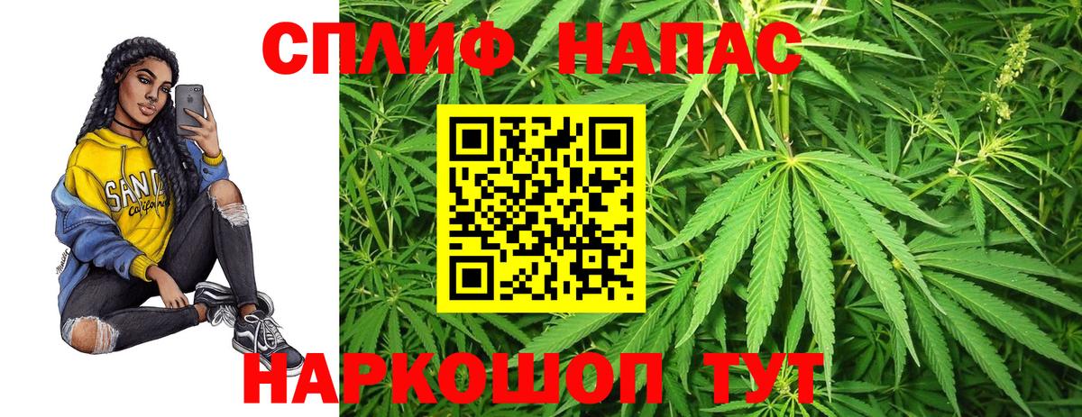 Бошки Шишки сатива Кстово